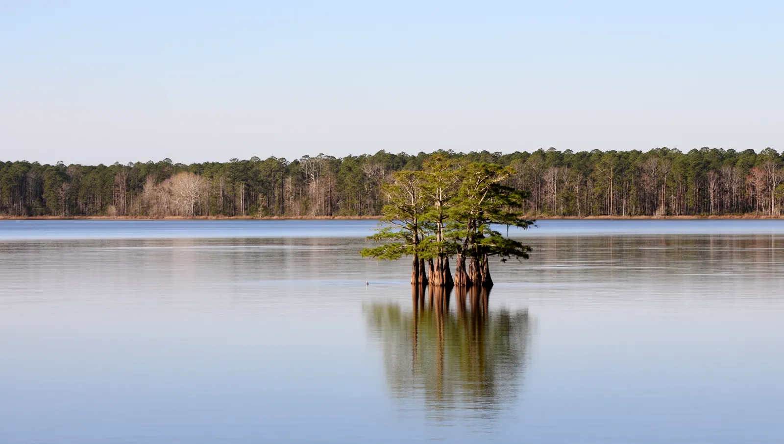 The Chowan River near Winton, North Carolina